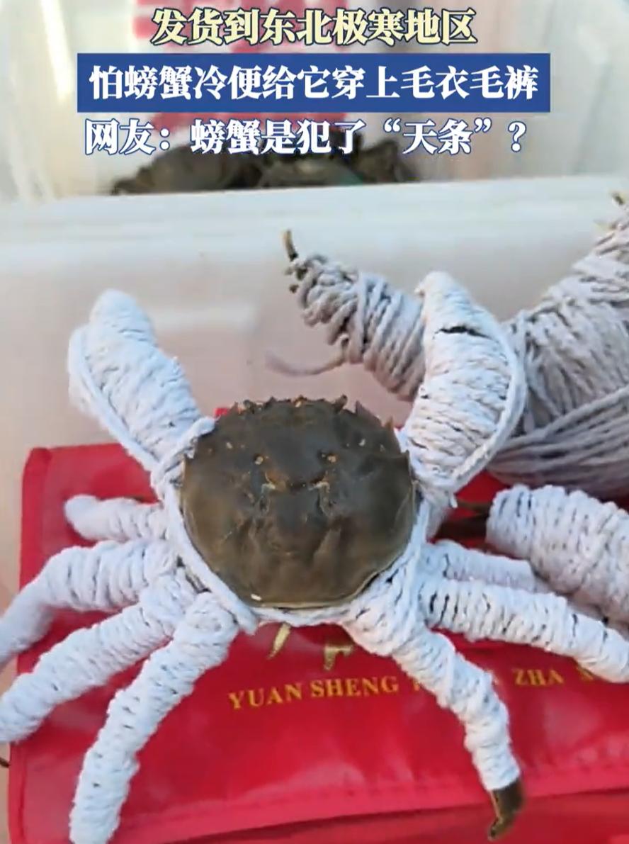笑死了！一海鲜商家接到一笔来自东北大哥的订单，因担心天气太冷，螃蟹还没送到就冻死