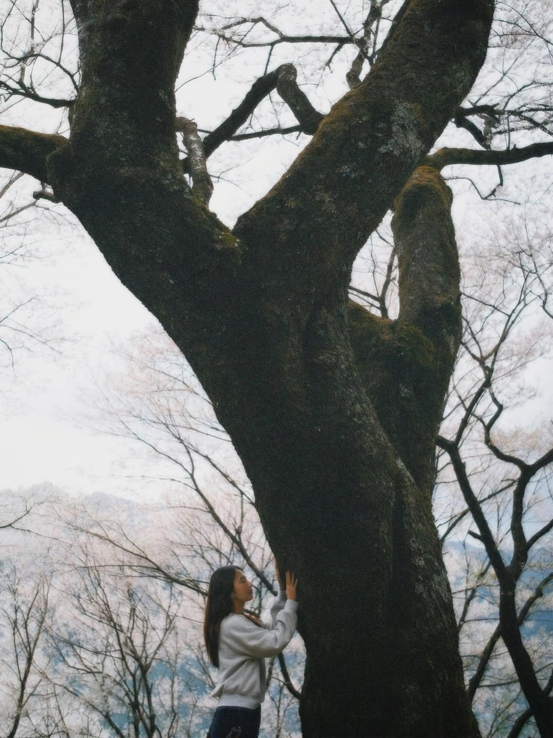 天呐！田馥甄在43岁生日这天宣布自己的第六张个人专辑真的comingsoon！