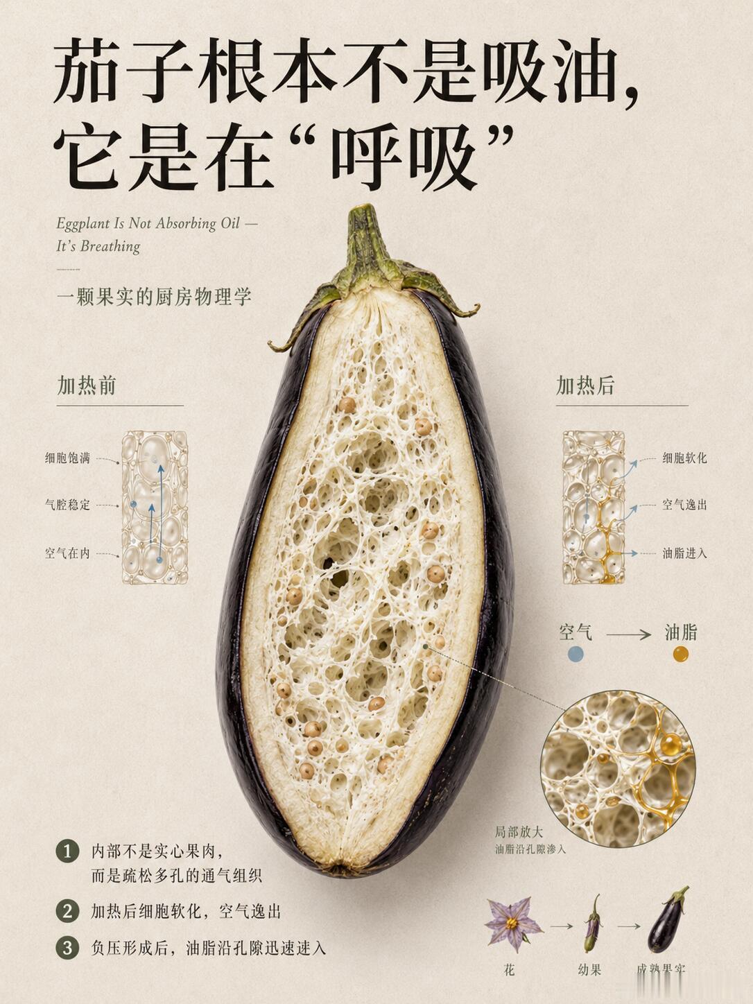 原来茄子吸油不是你厨艺问题！你有没有发现：炒茄子的时候，它像开了黑洞一样疯狂吸