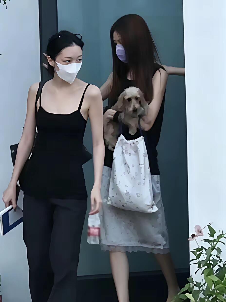 李嫣这么美了长大之后的李嫣，让人眼前一亮。五官轮廓都越来越有王菲的影子。王