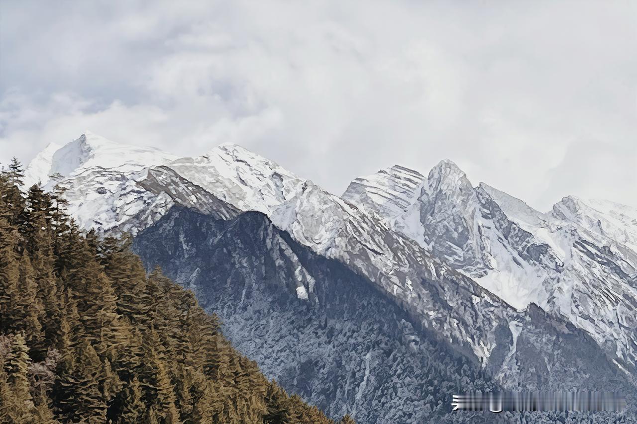 上周刚自驾走完川西的小环线，四姑娘山脚下那片云杉林配雪山的画面，到现在闭眼睛还能