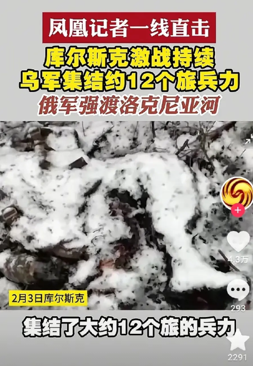 俄罗斯终于开始对乌军“包饺子”？俄罗斯本土库尔斯克方向，乌军集中了12个旅的兵力