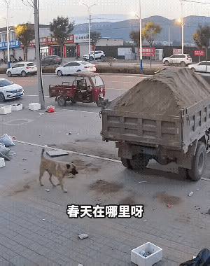 没有超速，没有走错道，来这么一出，是不是太冤了啊？[捂脸哭][捂脸哭][捂脸哭][捂脸