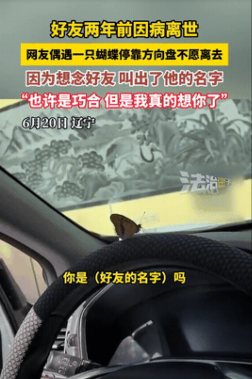 “感动哭了！”6月22日辽宁，一男子坐在车上休息时，突然一只蝴蝶飞到了方向盘上，
