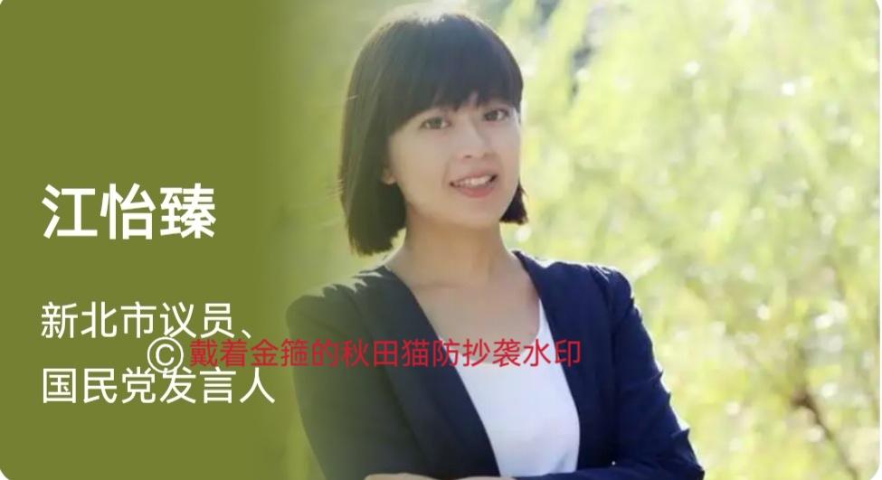 美女如云，堪比明星！没想到，小小的岛内政坛竟然是美女云集，丝毫不亚于演艺界，且