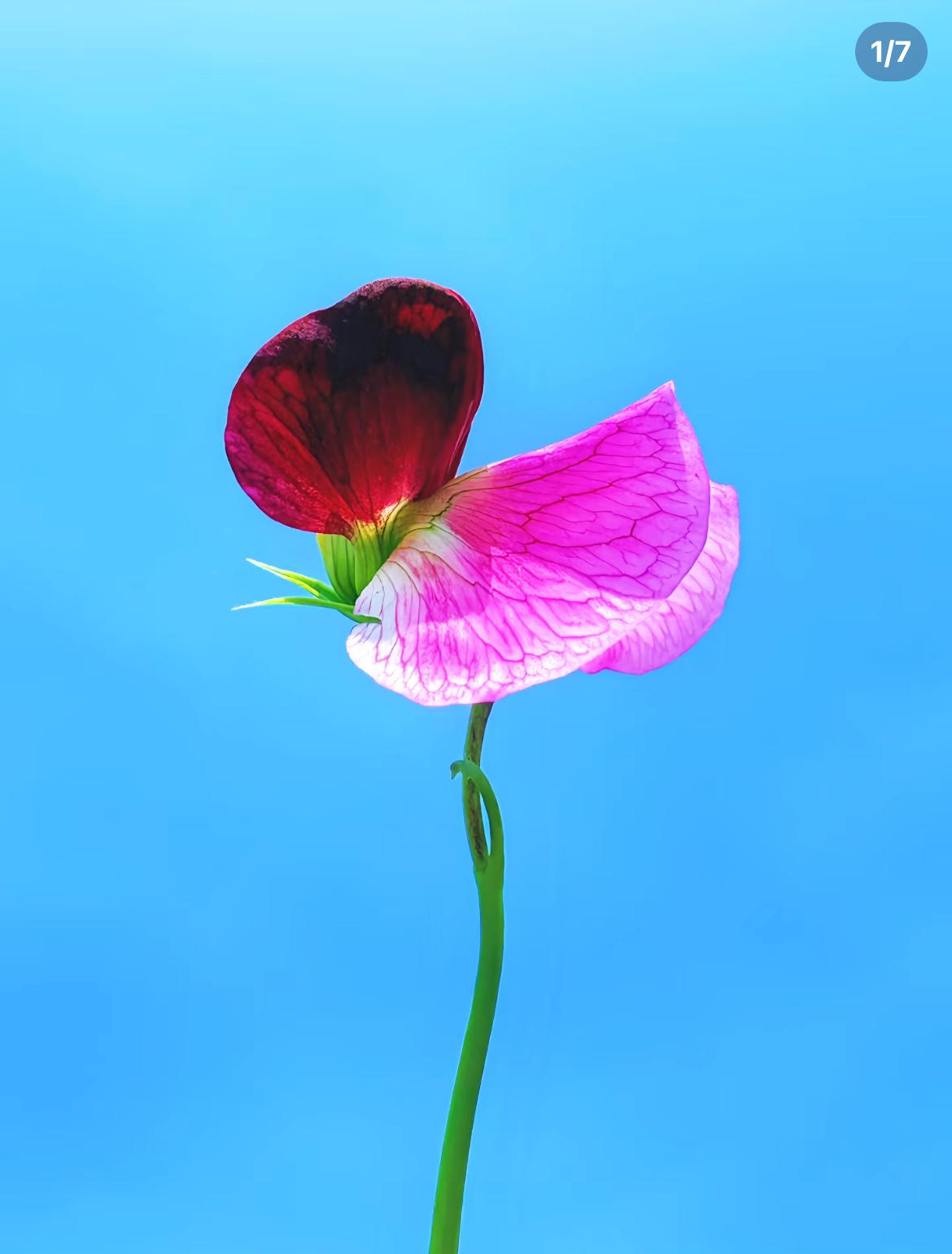 杨绛先生说：“聪明的女人，宁可守着无爱的婚姻，也不会轻易离婚。因为她知道，和谁