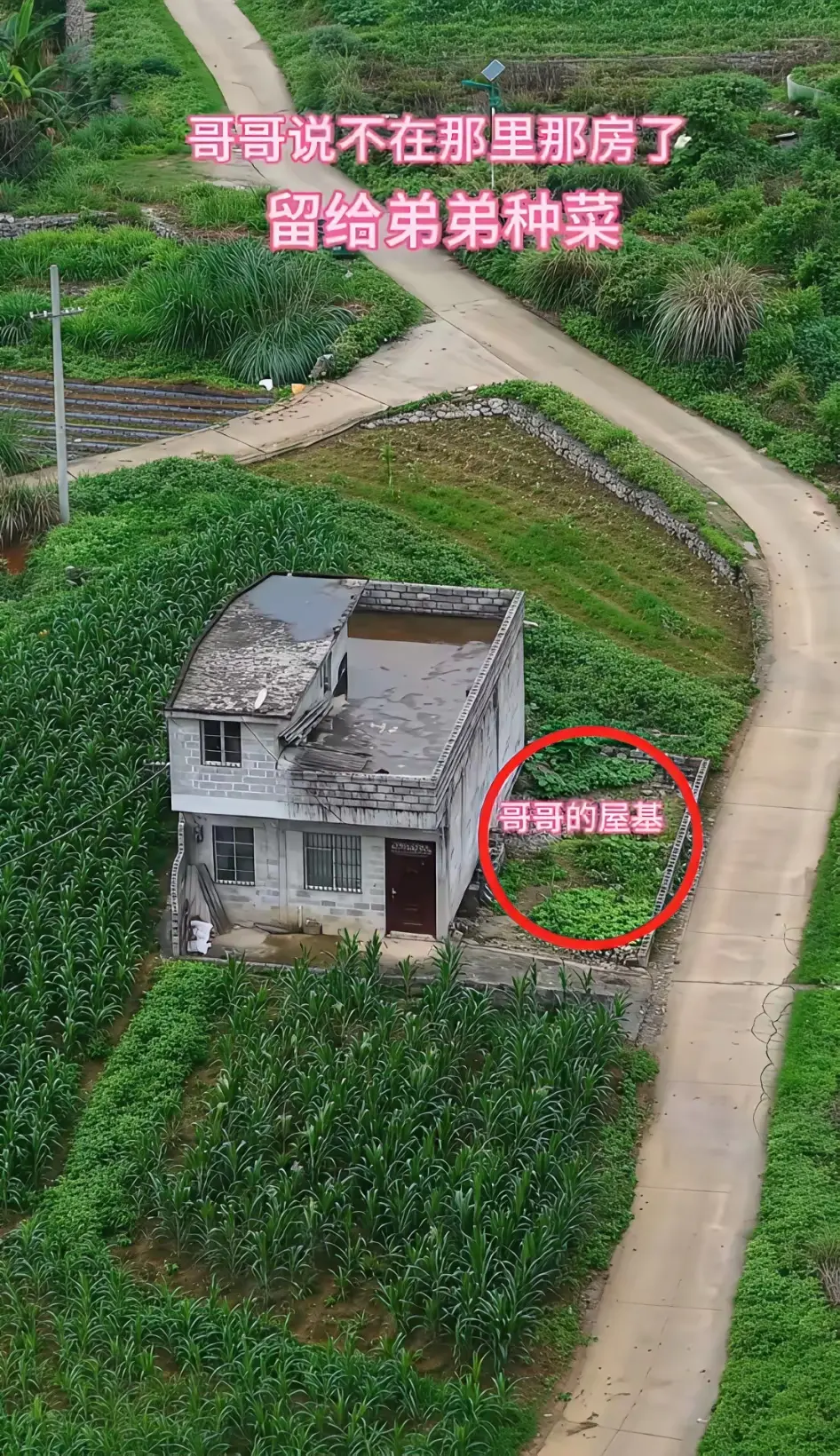 哥哥说不在那里盖房了留给弟弟种菜