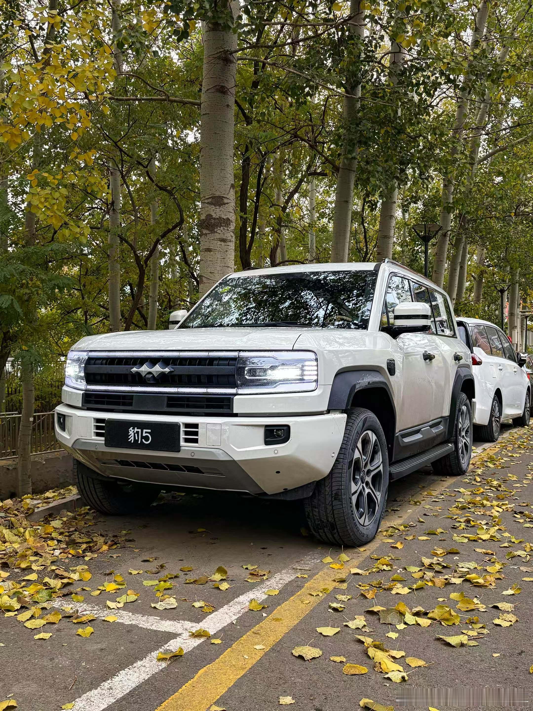 体验了一下新的方程豹豹5，有一个假想，如果豹5也用易三方，是不是它的鱼钩测试成绩