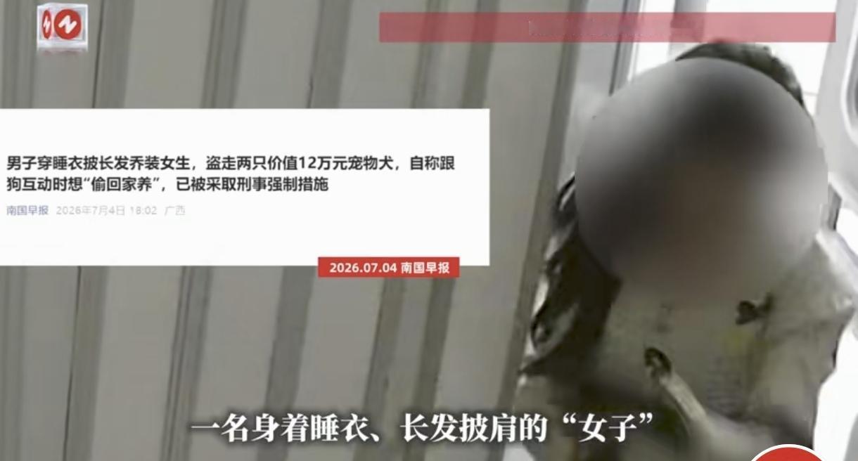 上海闵行，某宠物店棉花面纱犬被盗，预估价值高达12万。店主报警后，民警发现偷狗女