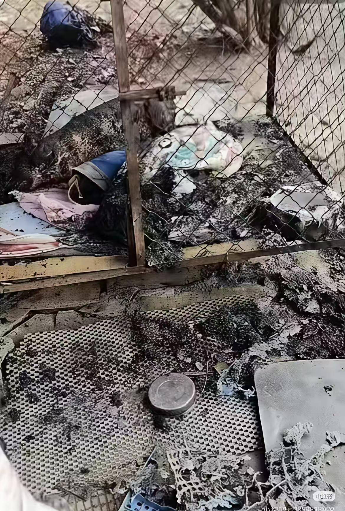 狗主人虐待狗，长期囚禁它在公共场所，太可怜了。不要造谣！小区物业清理过，是他家又