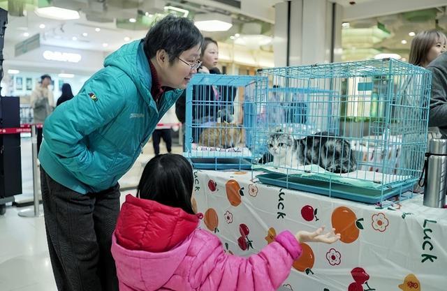 国艺·新尚｜公益暖冬：萌宠疗愈与新春民俗共绘社区温情