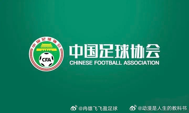 中国足协又闹国际大笑话，他们搞出了一个所谓专家评议组，“一致认为”山东泰山八号队