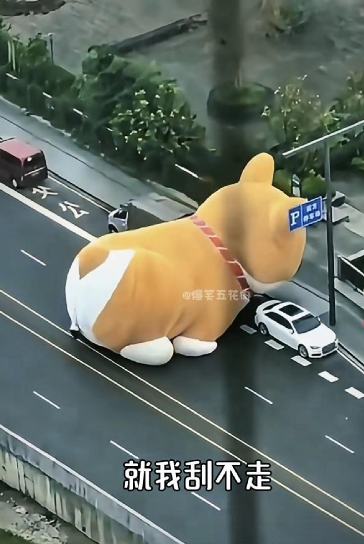 针对桦加沙超强台风，深圳发布，建议市民至少准备三天的应急物资。这都23号清晨了