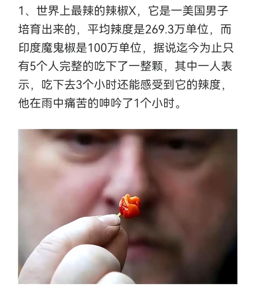 全球最辣辣椒！仅5人敢整颗吃下，雨中痛苦呻吟1小时！