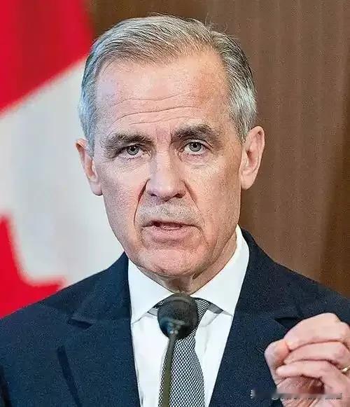加拿大总理突然发飙！对华贸易大反转？2025年75.8%保证金背后真相曝光！