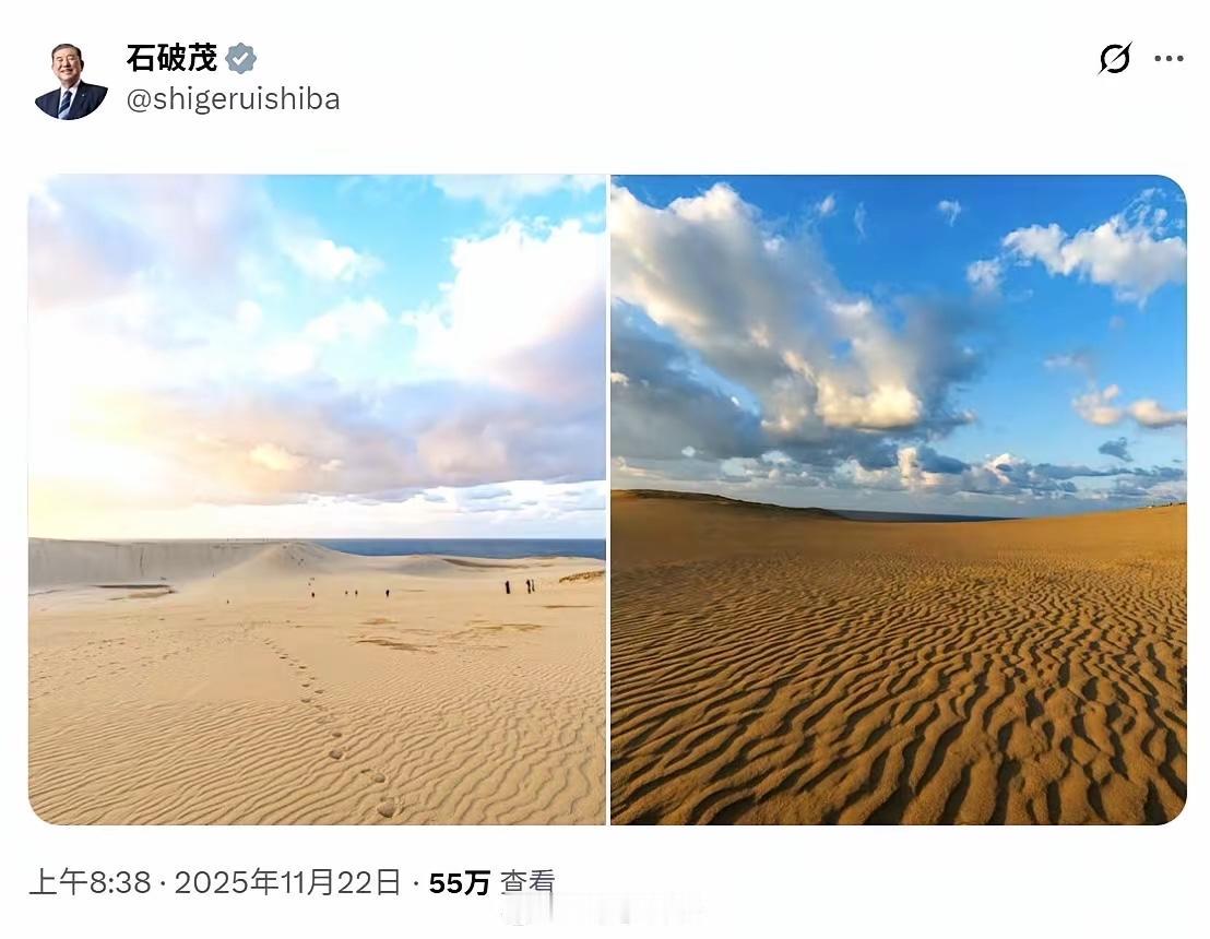 石破茂这帖子整得跟神秘代码似的，让人摸不着头脑。“一望无垠的沙漠”，按成语意思就