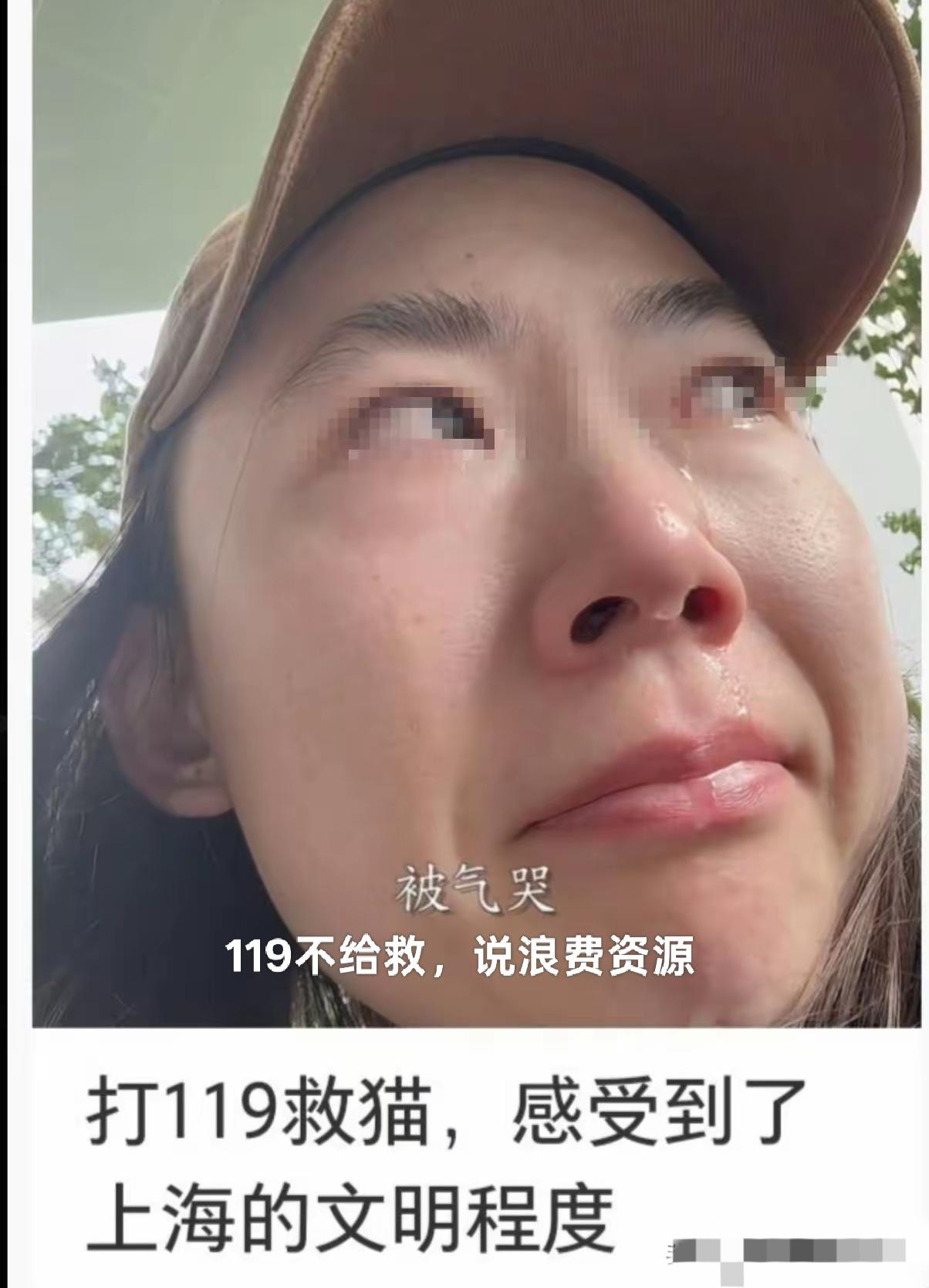 为了流浪猫，打119被拒。自己还被气哭，真的很作。流浪猫，流浪狗为什么那么多
