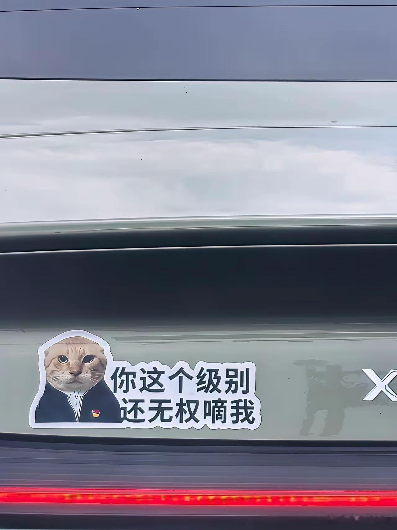 可怕又无知的小米车主，党徽都敢拿来恶搞😡😡😡小米汽车su7街拍小米汽车