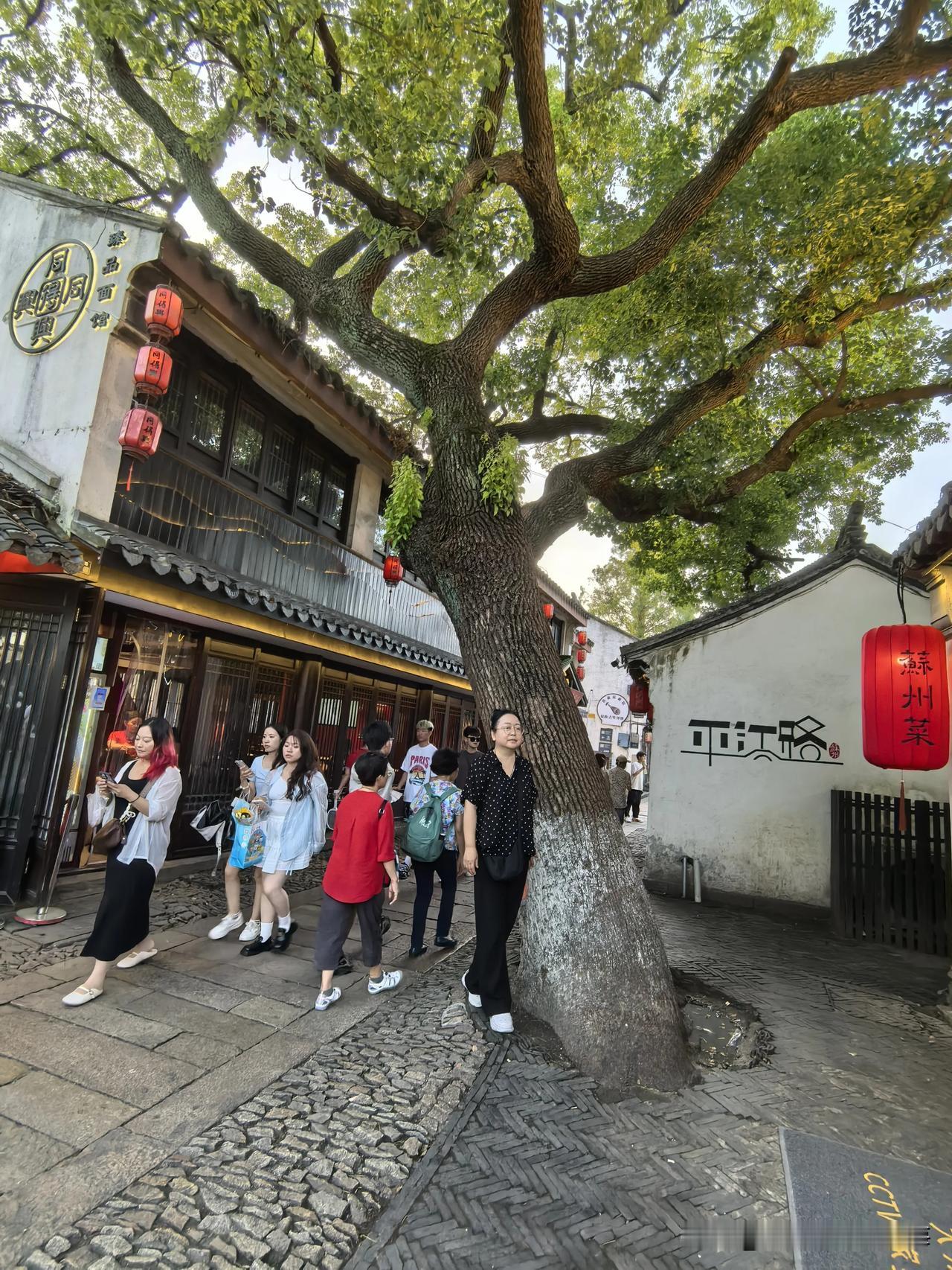 苏州是江南水乡，如诗如画，是东方的威尼斯。我一直都想去苏州游玩，毕竟从小就听