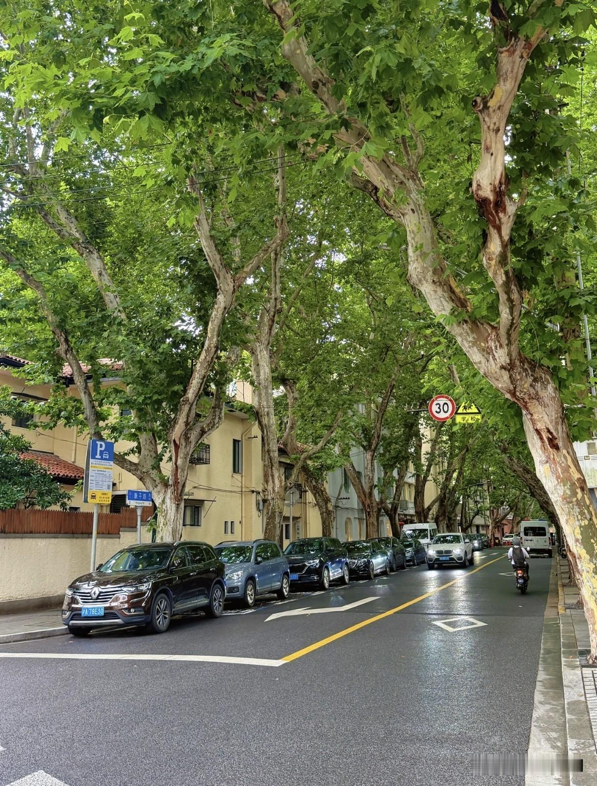上海一位老教授，继老伴去世后，他又在养老院里孤独离世，三个孩子都早已在国外定居，