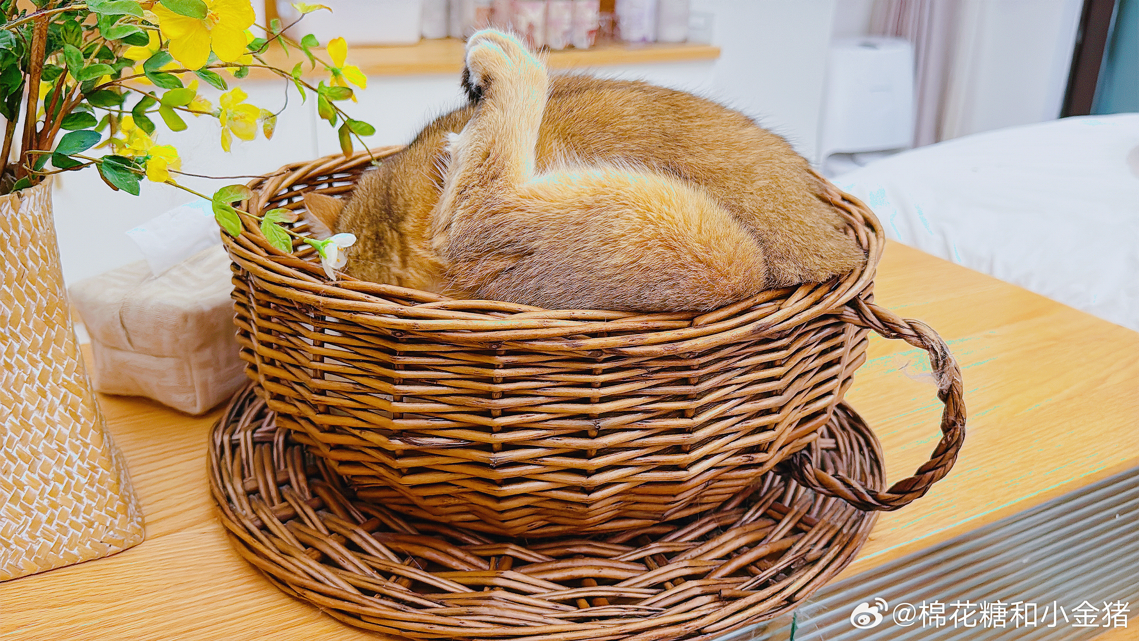 一篮烤鸡​​​
