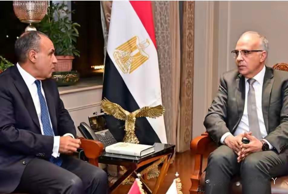 埃及双部长硬核护水：尼罗河的水，一滴都不能少！埃及最近把“护水”刻进DNA里，