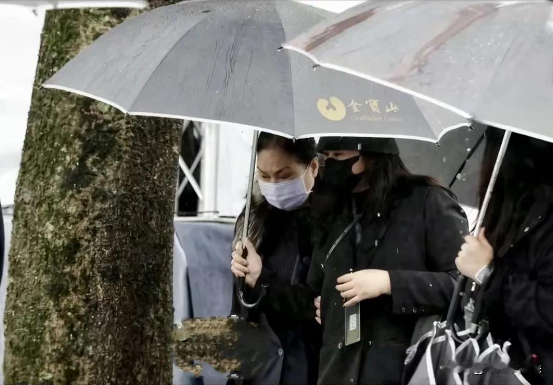 大s逝世一周年，台北的天空下着大雨，一如她下葬的时候，也是大雨。2月2日，是大