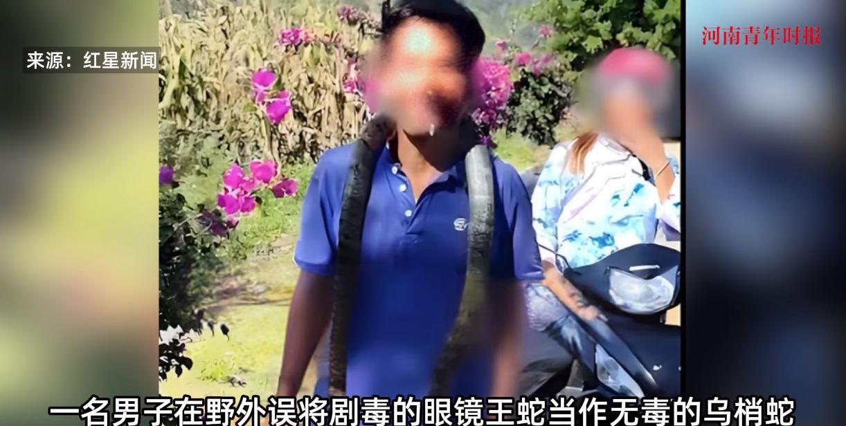 “离了个大谱！”9月2日，贵州黔西南，一50岁男子在野外时，突然发现了一条足有2