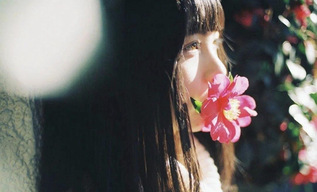 摄影作品赏析/阳光下的少女与粉花，静谧而美好。