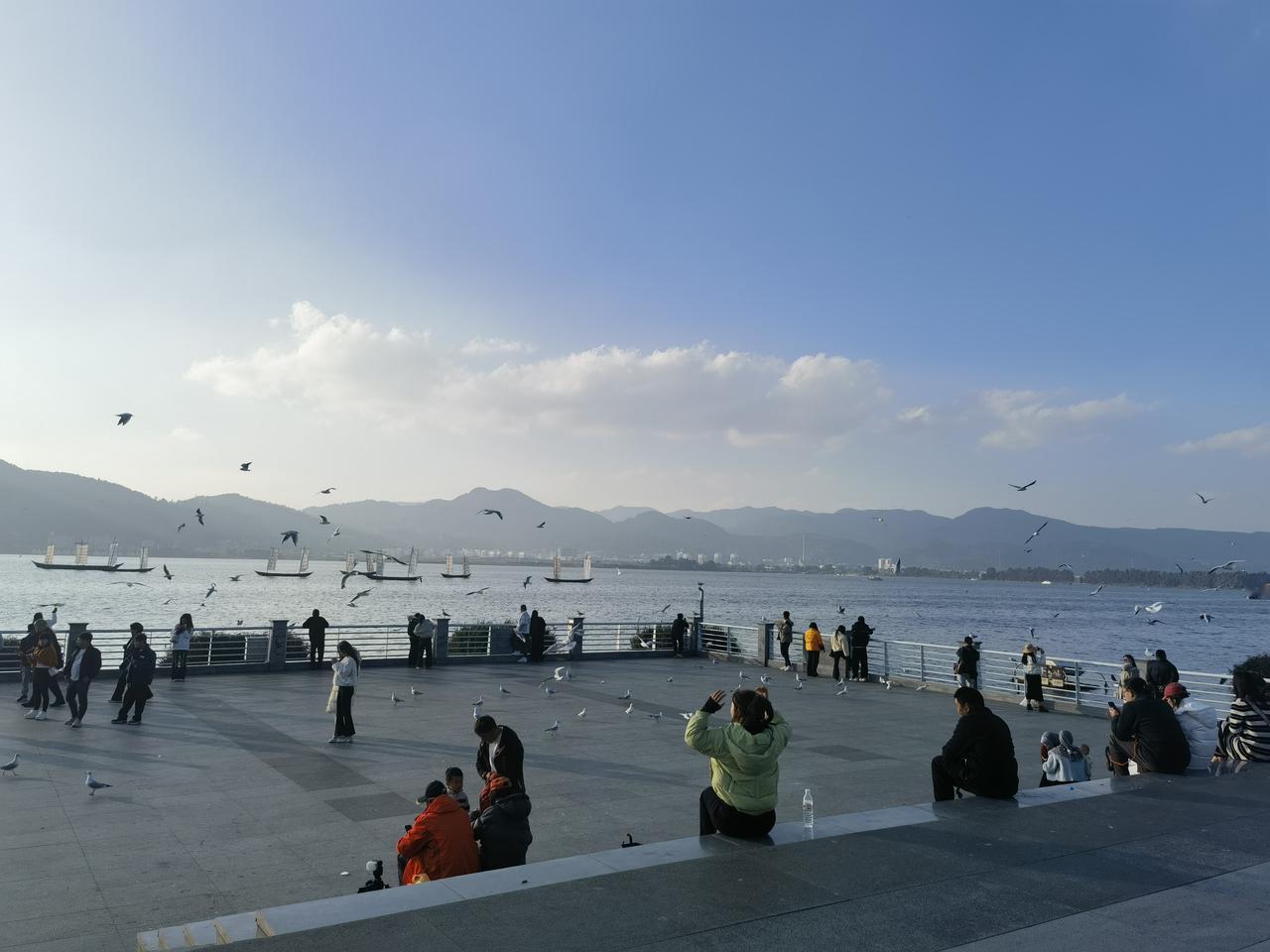 云南旅游系列篇（二）标题：云南滇池候鸟——海鸥每年秋季至次年暮春，滇池便成了