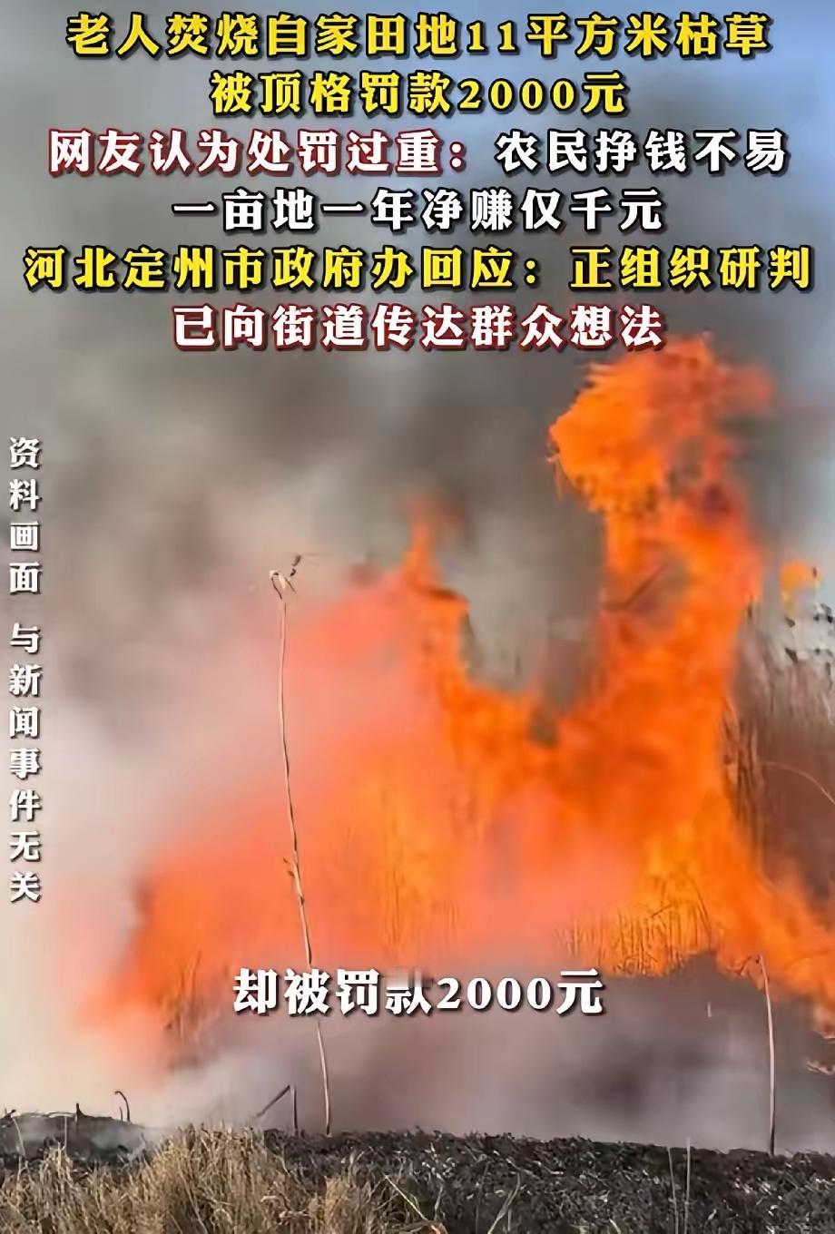 听说了吗？河北定州那位61岁的老农民，在自己地里拢了拢枯草树叶，拢共也就11平米