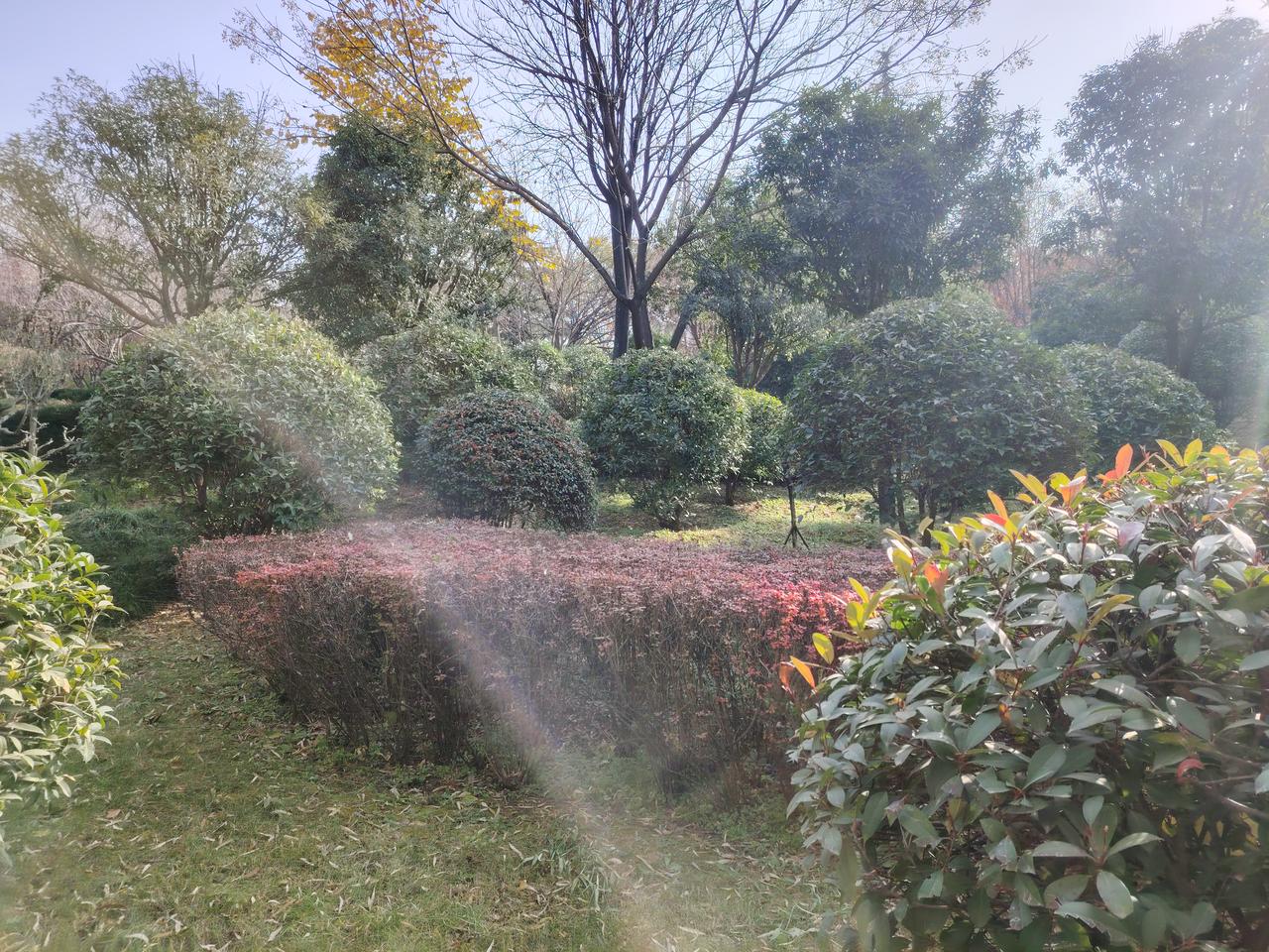 这样排课是否妥当？学校年轻语文老师日益增多，年长的语文老师不得不退居二线。有一