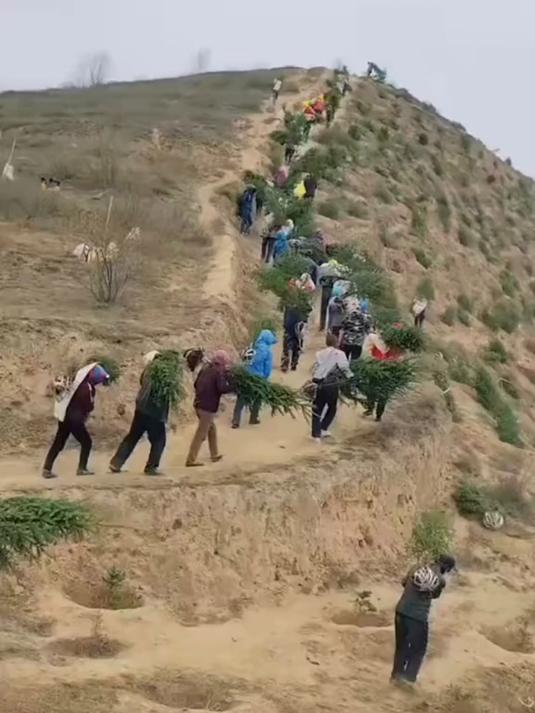 西北要绿不要绿！——统一后，台du分子怎么办？有人提议送到西北种树。我强烈反