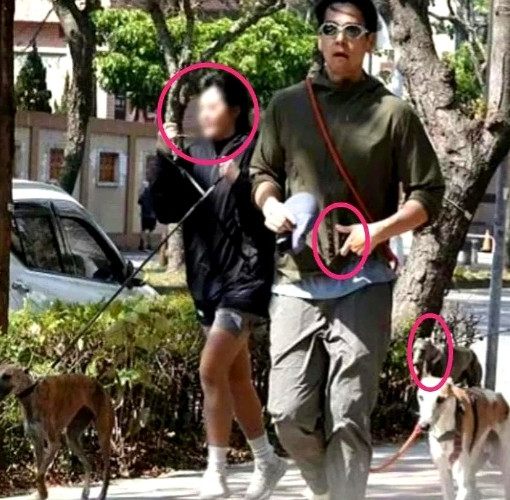 我终于知道了原来彭于晏不早早不回应是有原因的原本一直觉得现在才开