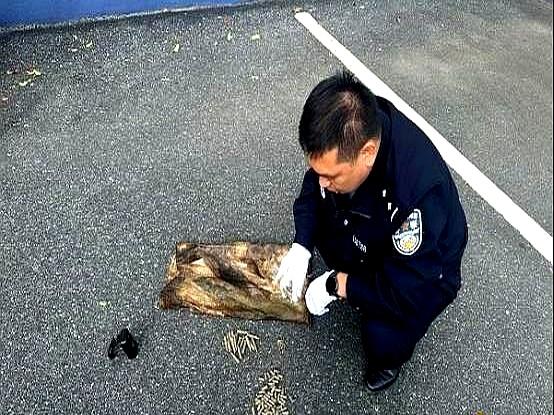 不得不说，钓鱼佬的惊喜，真是藏都藏不住。江西吉安的曾先生，最近在沂江河边