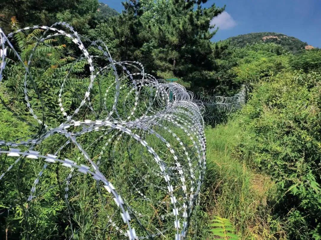 治标方案彻底作废！2026年7月8日，山东泰安市委市政府召开专题会议，针对全网