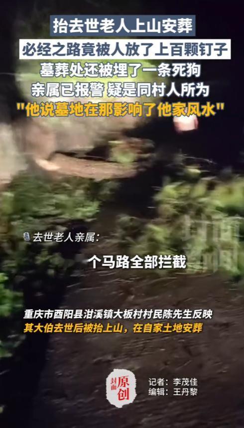 “太坏了！”7月24日，重庆，一男子抬去世老人上山安葬，结果，却在路上遇到上百颗