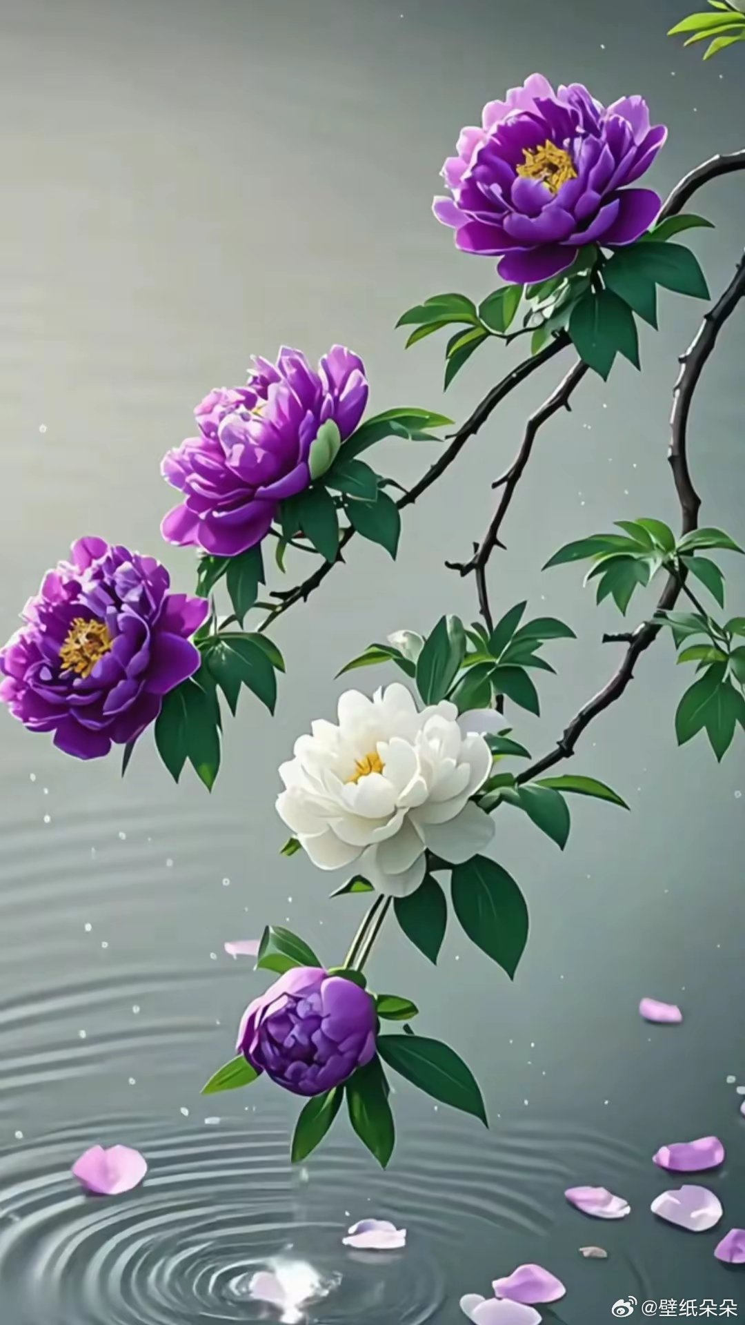花开富贵吉祥如意·精美锁屏壁纸～​​​