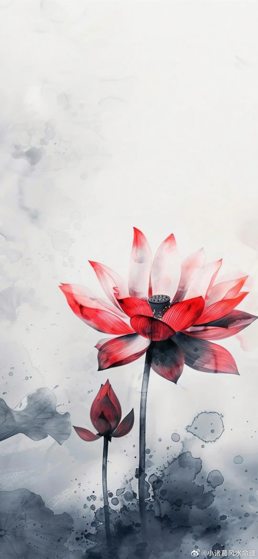 属龙人2026年农历6月财运巅峰期深度解析与行动指南一、运势核心：火土成