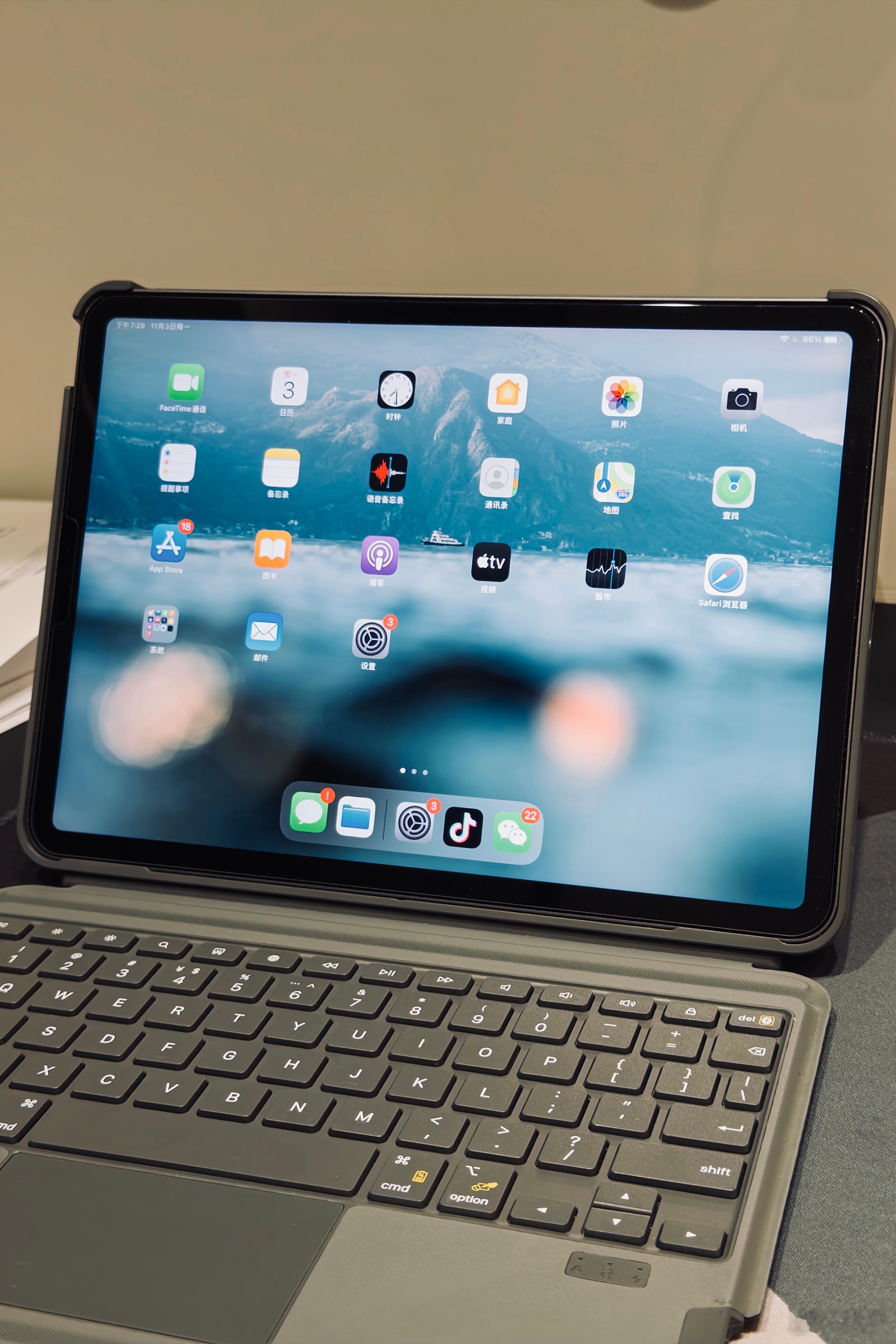 前几天把我21年买的M1芯片iPadPro出掉了。当初买的时候，脑补了一万遍