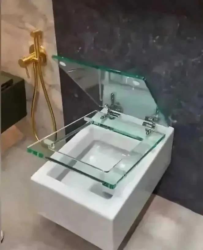 这马桶1万，我媳妇选的，看上了，就得装这款!!