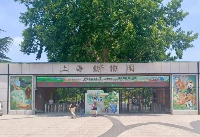 夫妻带10个月大的婴儿游览上海动物园，用奶瓶给孩子喂奶却遭到工作人员的粗暴驱逐！