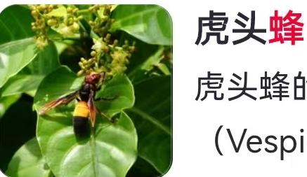 你敢信吗？花6666元就能学会养殖