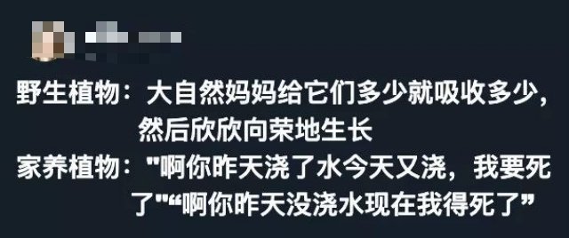 娇生惯养​搞笑​​​​