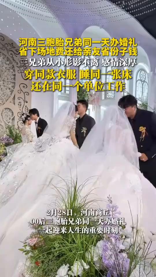 河南三胞胎兄弟同一天办婚礼，省下场地费还给亲友省份子钱。九派新闻。兄弟从小形