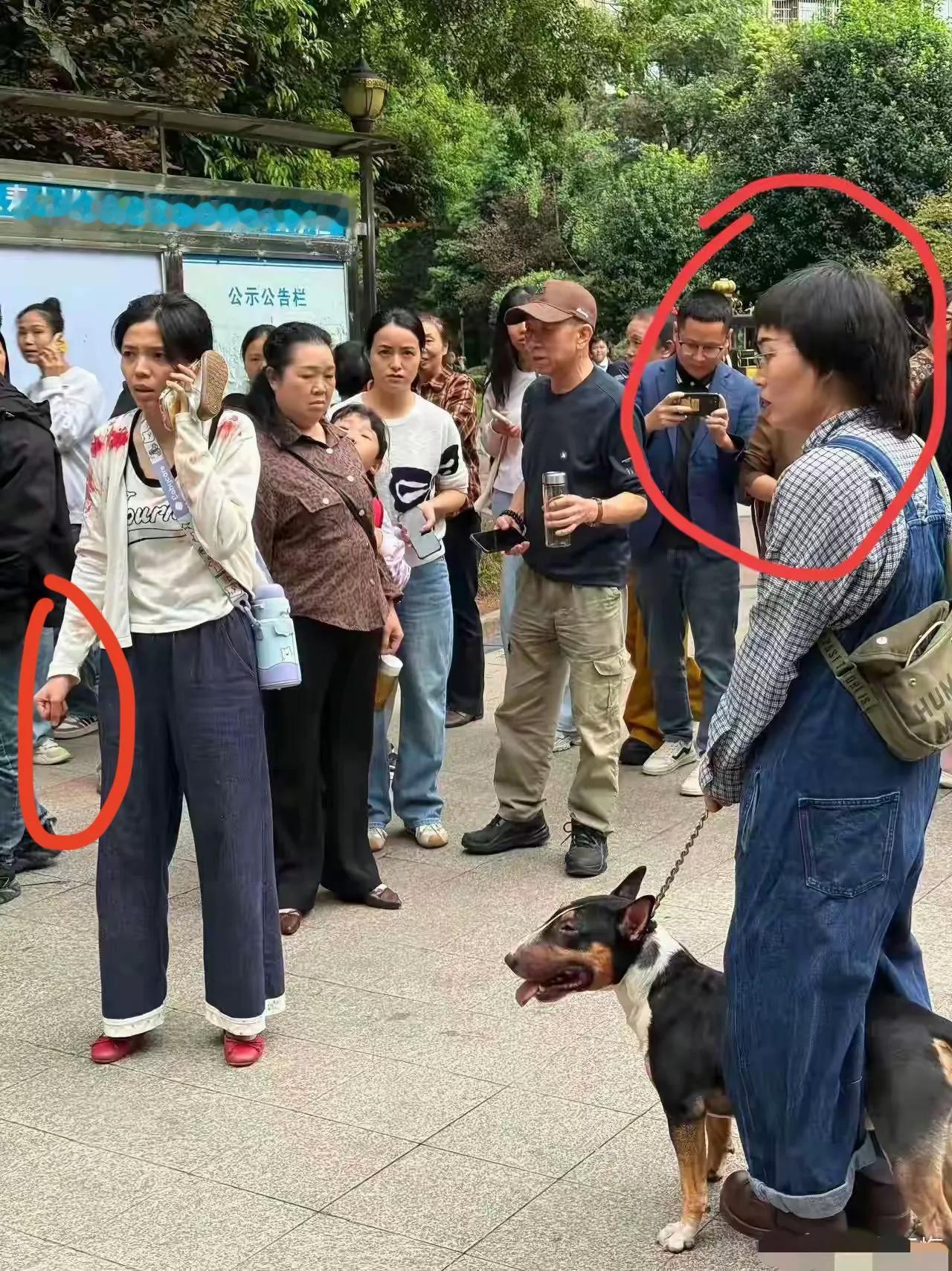 眉山伤人那狗，不知道大家发现一个细节没有，就是站在狗主人对面这人，是那个小女孩的