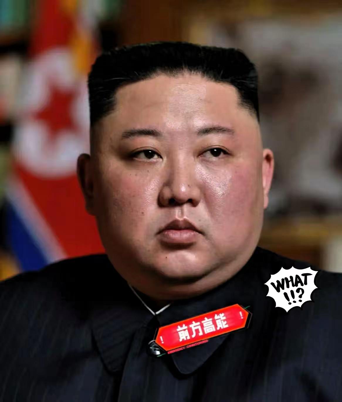 快讯!快讯！朝鲜突然宣布了，11月6日，朝鲜外务省负责美国事务的副相金恩哲突