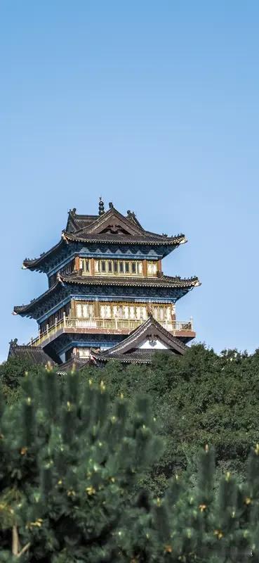 中国高铁第一大省又易主了中国高铁第一大省又易主啦！先是山东在“十四五”把高铁运