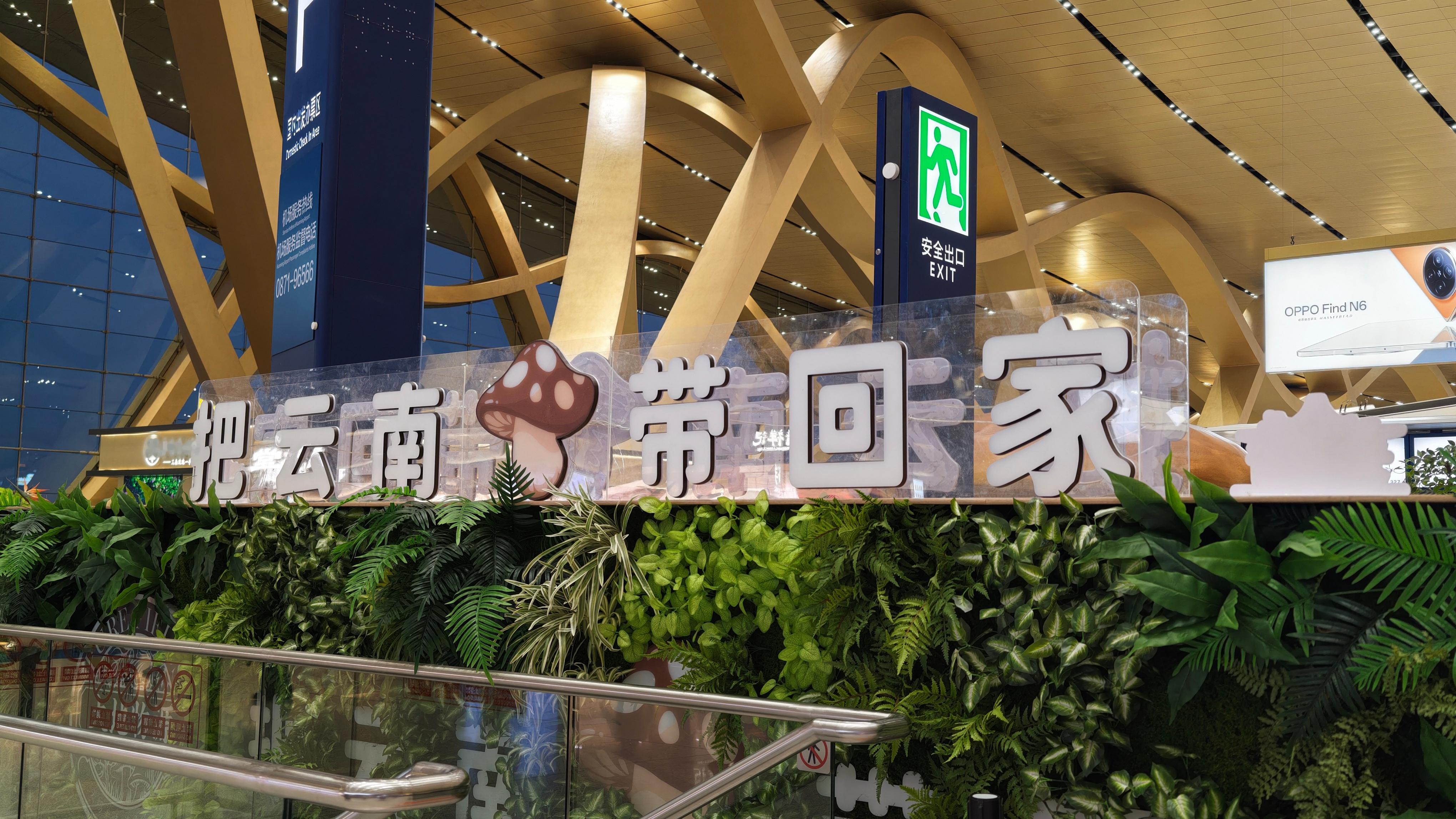 早班🐔，易安检都没开放呢，云南也这么卷吗？早上机场这么多人昆明·昆明长水国际