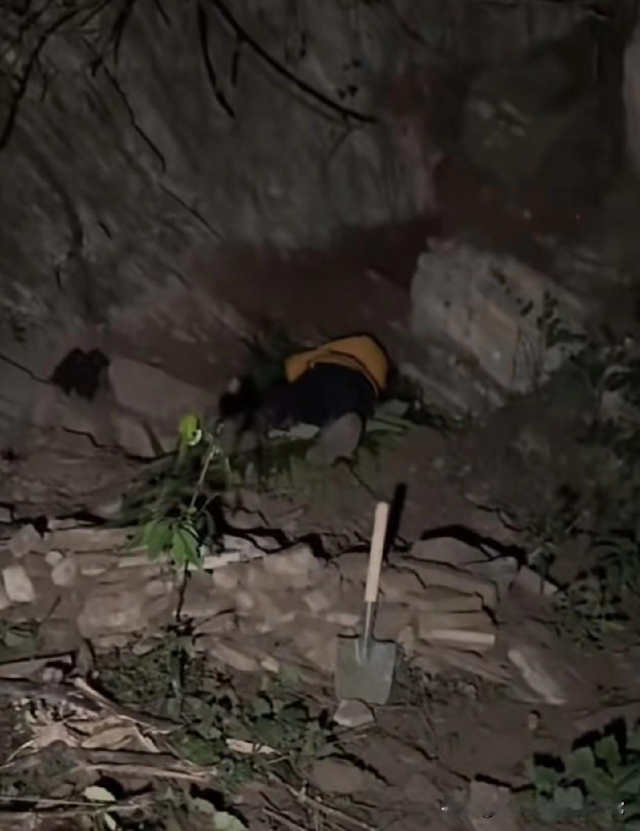 荒野求生“刀疤哥”蜷在石缝里早早睡了——不是不想熬夜，是饿到没力气撑着。